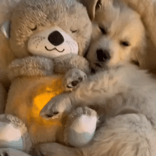 Serenity Pup Soothing Otter Buddy
