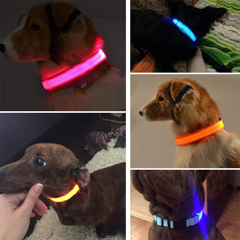 GlowGuardian LED Collar