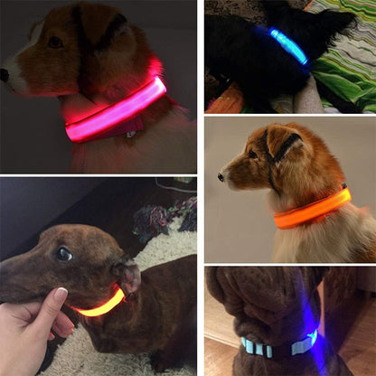 GlowGuardian LED Collar